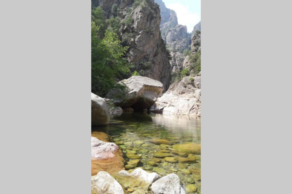 Appartement Les Pieds Dans L'Eau 300 M Plage - 2 Piscines Linguizzetta Dış mekan fotoğraf